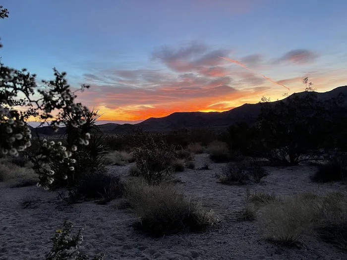 Indian Cove Campground Picture 6