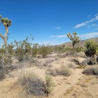 Belle Campground ico