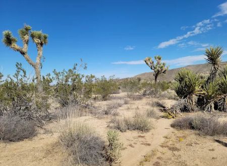 Belle Campground