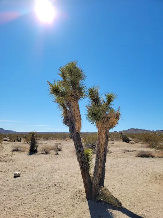 White Tank Campground Picture 7