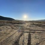 North Joshua Tree BLM