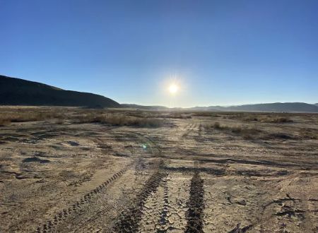 North Joshua Tree BLM