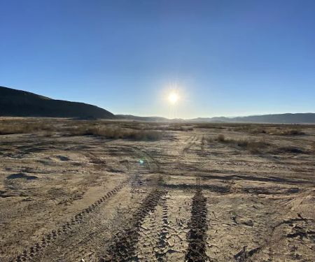 North Joshua Tree BLM