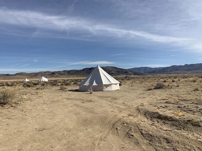 North Joshua Tree BLM Picture 4