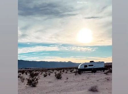 High Desert Siesta