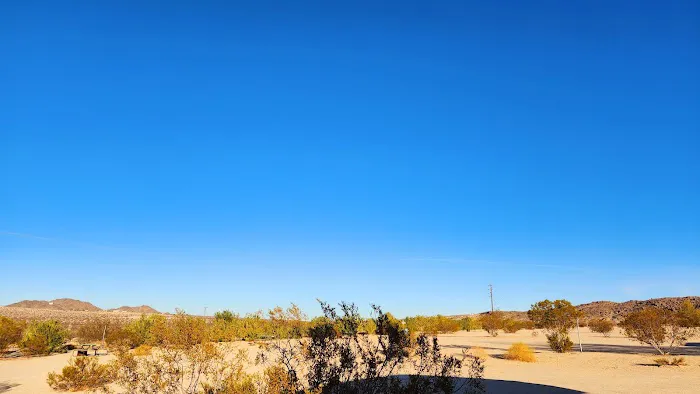 Joshua Tree Lake RV & Campground Picture 4