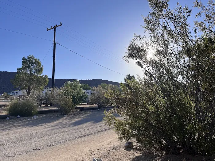 Joshua Tree Lake RV & Campground Picture 10