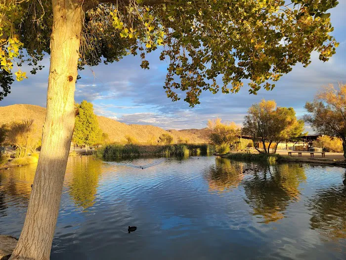Joshua Tree Lake RV & Campground Picture 3