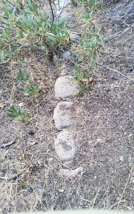 Clark's Ranch Yellow Post Site Picture 10