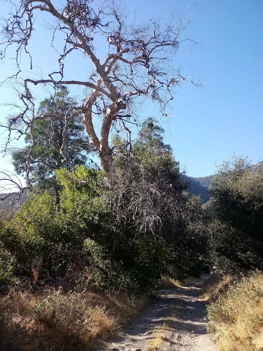 Clark's Ranch Yellow Post Site Picture 6