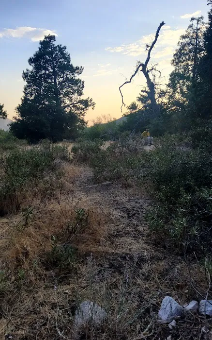 Clark's Ranch Yellow Post Site Picture 4