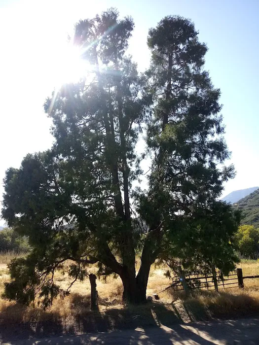 Clark's Ranch Yellow Post Site Picture 2