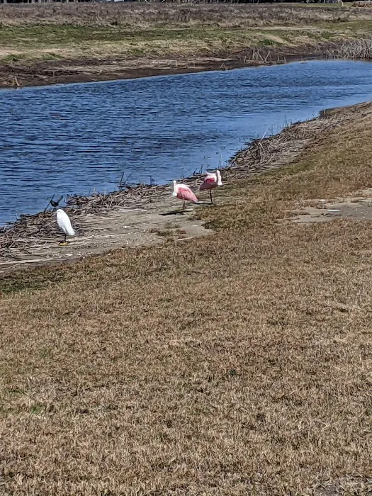 Lazy Pelican RV Park Picture 7