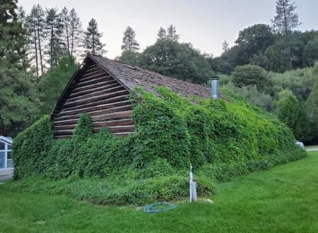 Seven Oaks Lodge