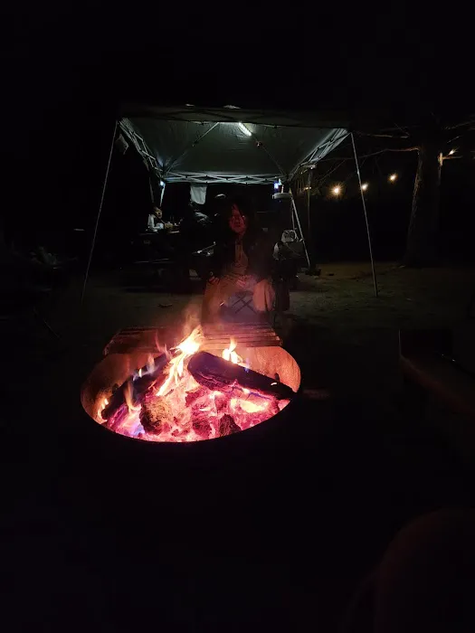 Barton Flats Campground Picture 5