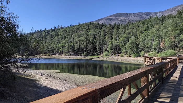 Barton Flats Campground Picture 2