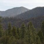Barton Flats Campground
