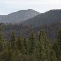 Barton Flats Campground ico