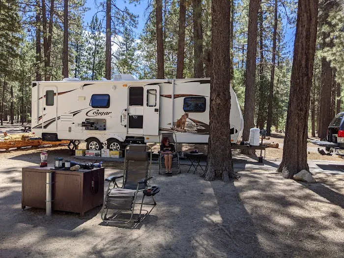Barton Flats Campground Picture 10
