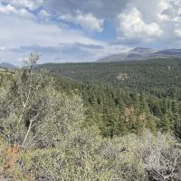 Camp Sky Meadows ico