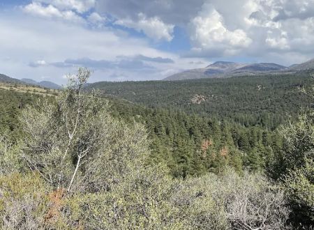 Camp Sky Meadows