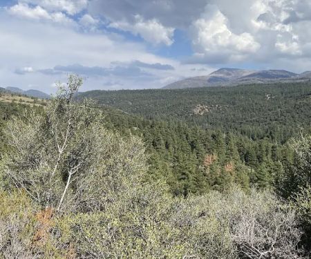 Camp Sky Meadows