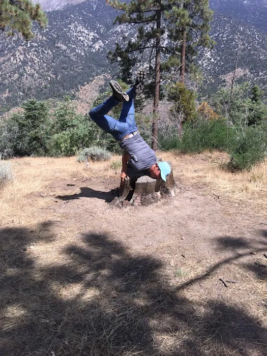 San Gorgonio Family Campground Picture 5
