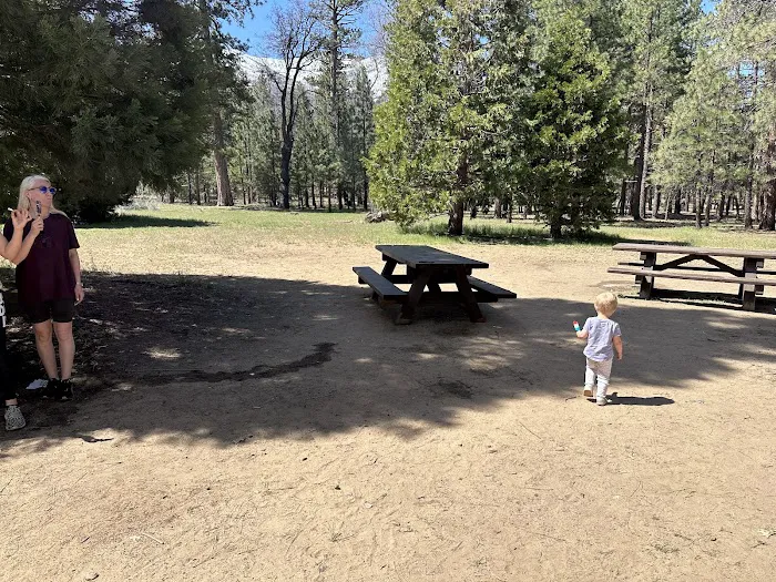 San Gorgonio Family Campground Picture 7