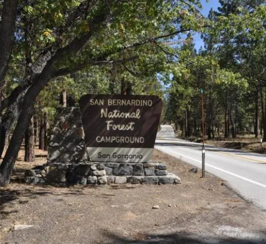 San Gorgonio Family Campground Picture 4