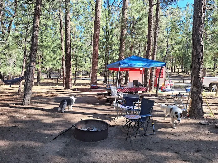 San Gorgonio Family Campground Picture 1