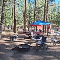 San Gorgonio Family Campground ico