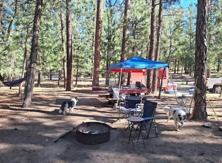 San Gorgonio Family Campground