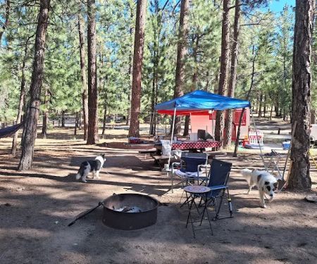 San Gorgonio Family Campground