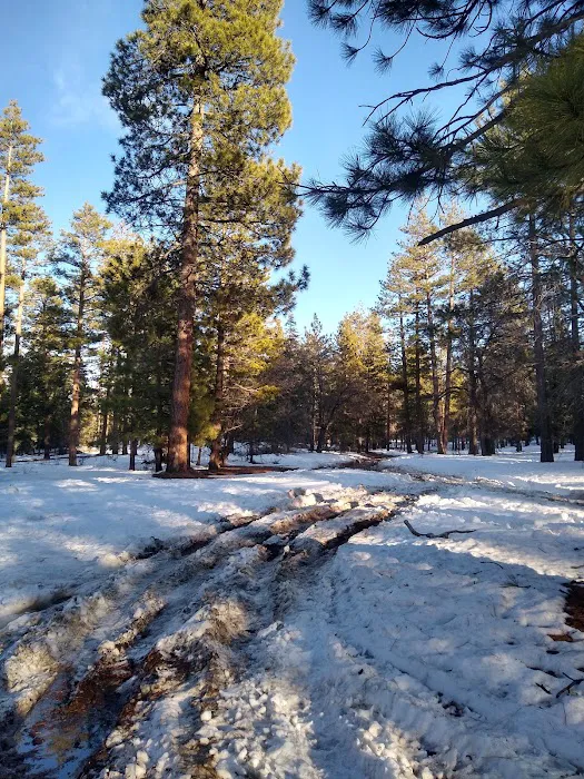 East Flats Campground Picture 9