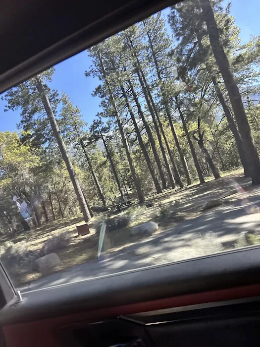 East Flats Campground Picture 4