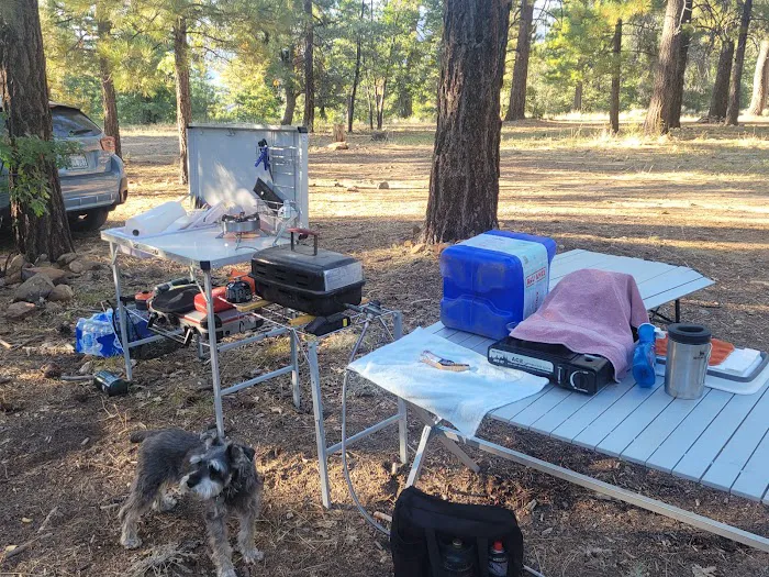 East Flats Campground Picture 6