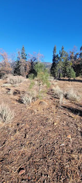 East Flats Campground Picture 3