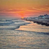 Sea Byrd Landing ico