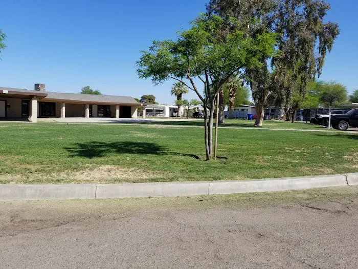 Spanish Palms Picture 3
