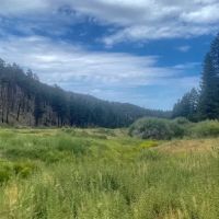 Heart Bar Family Campground ico