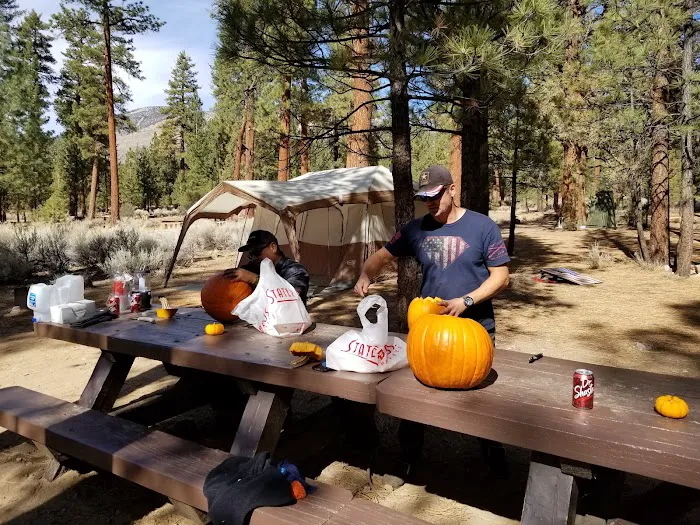 Skyline Group Campground Picture 9