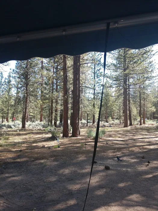 Skyline Group Campground Picture 2