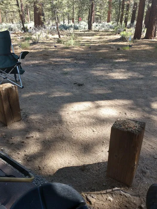 Skyline Group Campground Picture 3