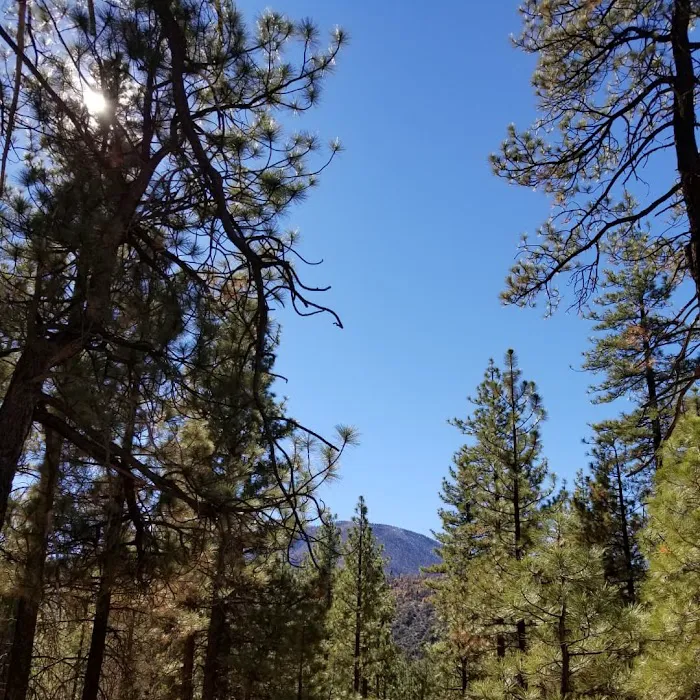 Skyline Group Campground Picture 10