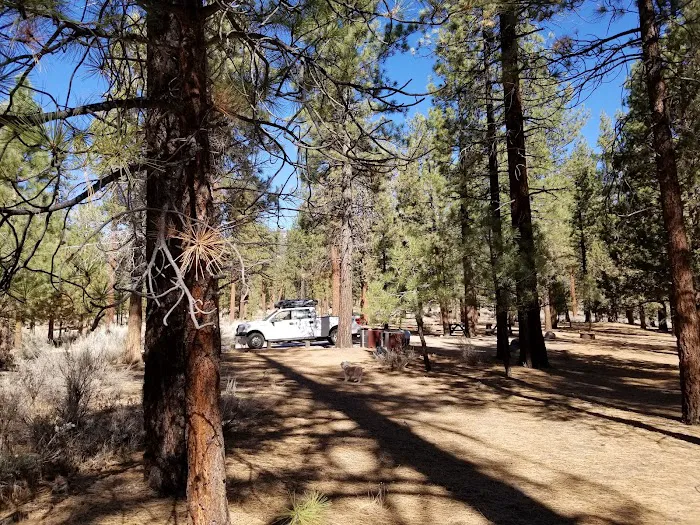 Skyline Group Campground Picture 7