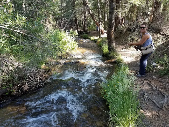 South Fork Family Campground Picture 6