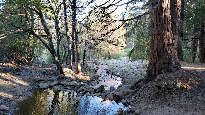 South Fork Family Campground Picture 7