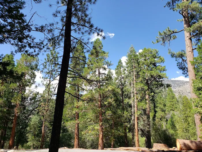 South Fork Family Campground Picture 3