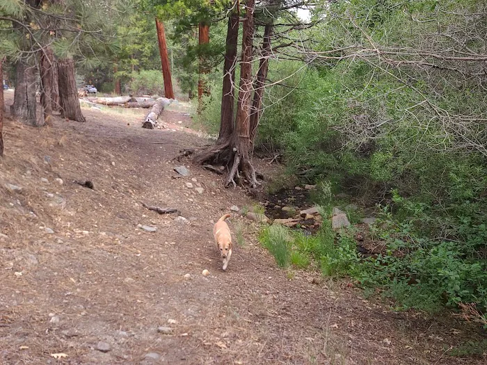 South Fork Family Campground Picture 8