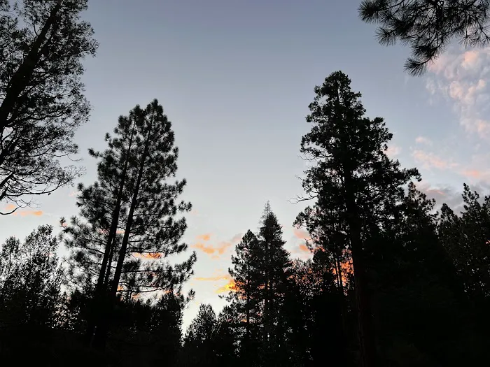 South Fork Family Campground Picture 1